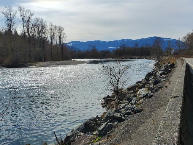 Large rock along the SR 20 embankment contributes to degradation of fish habitat in the Skagit River. March 2021.